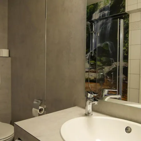 Landgasthof Adler Ohg 3*