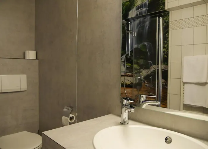 Landgasthof Adler Ohg 3*