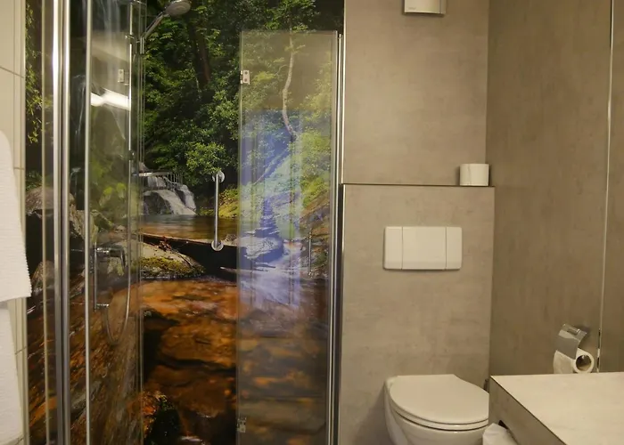 Landgasthof Adler Ohg Hotel 3*